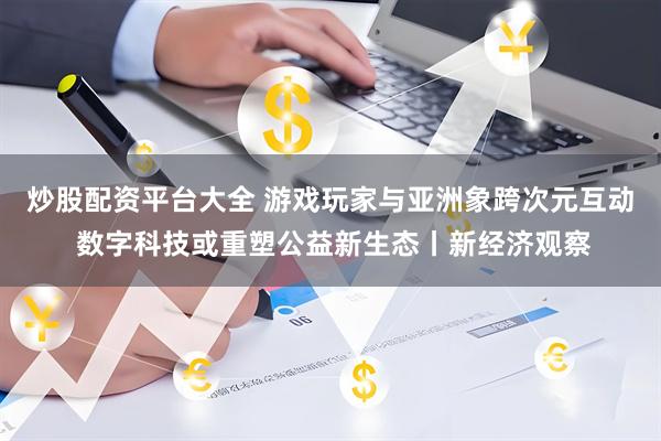 炒股配资平台大全 游戏玩家与亚洲象跨次元互动 数字科技或重塑公益新生态丨新经济观察